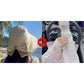 👒 Summer Hot Sale 50% OFF ! 💐 Women's Bowknot Wide Brim Sun Protective Hat – Oversized wide brim blocks UV rays, delicate bow decor, lightweight breathable fabric, ideal for beach, travel & outdoor walking✨