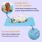 🔥Summer Hot Sale 49% OFF🧊Premium Cooling Mat For Pet