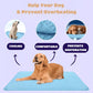 🔥Summer Hot Sale 49% OFF🧊Premium Cooling Mat For Pet