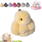 🎁Easter Best Gift  70% Off💥🐰【BunnyLulu】Soft Plush Bunny Keychain – Comfort Toy in Tin Box🎁Easter Sweet Surprise