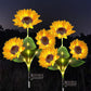 ⏳【Limited Offer】BUY 2 SAVE 10%!!🌻Sunflower Solar Lights – Glowing Decor for Garden ✨🌿Waterproof 🌧️ | No Wiring💡
