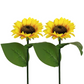 ⏳【Limited Offer】BUY 2 SAVE 10%!!🌻Sunflower Solar Lights – Glowing Decor for Garden ✨🌿Waterproof 🌧️ | No Wiring💡