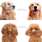 🐾 BUY 2 Get 1 Free💥🏆 Professional Deshedding Tool For Dogs And Cats – Gentle On Skin, Efficient Grooming & Comfortable Grip Design ✂️🔥