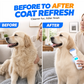 🥳2026 HOT SALE🥳💞50K+ SOLD!🐾⚡ 50% OFF! Electric Flea Comb for Pets – Vacuum suction + fine stainless teeth, chemical‑free flea removal. Gentle on coat, easy to clean – a must for pet parents! 🛡️✨